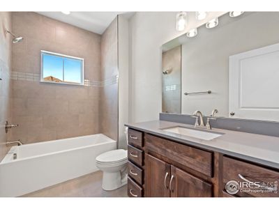 New construction Multi-Family house 4250 Persigo Trail Dr, Unit #208, Loveland, CO 80538 Cambridge 2- photo 5 5