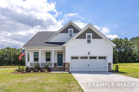 New construction Single-Family house 152 Cultivator Ct, Angier, NC 27501 Birch II B- photo 0