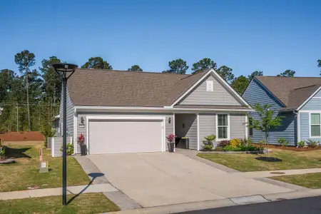 New construction Single-Family house 611 Coral Bells Ln, Summerville, SC 29486 plan Palmary - image