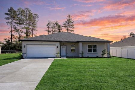 New construction Single-Family house 15227 Sw 28Th Avenue Rd, Ocala, FL 34473 - image