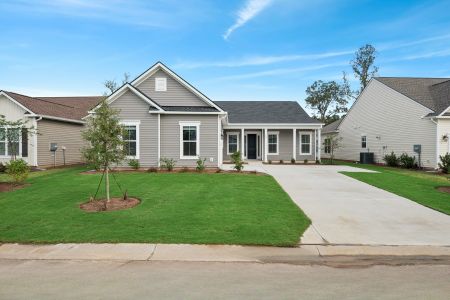 New construction Single-Family house 10 Java Plumb St, Bluffton, SC 29909 plan Ravenna - image