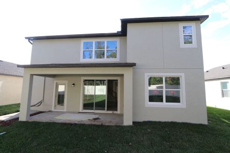 New construction Single-Family house 12008 Hilltop Farms Dr, Dade City, FL 33525 Alenza- photo 122 122