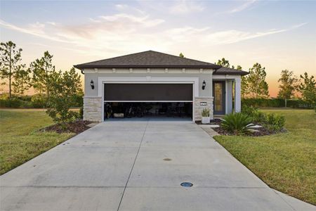 New construction Single-Family house 6176 Sw 93Rd Ave, Ocala, FL 34481 - image