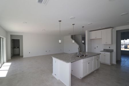 New construction Single-Family house 38350 Tobiano Loop, Dade City, FL 33525 Cabo- photo 96 96