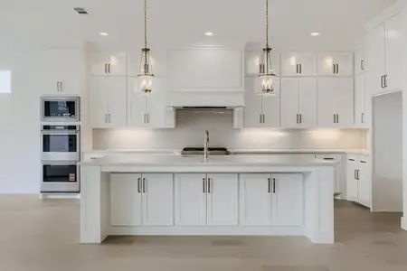 New construction Single-Family house 611 Falls Dr, Prosper, TX 75078 plan 1632 - image 10