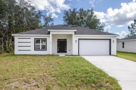 New construction Single-Family house 1312 Congo Drive, Kissimmee, FL 34759 - photo 0