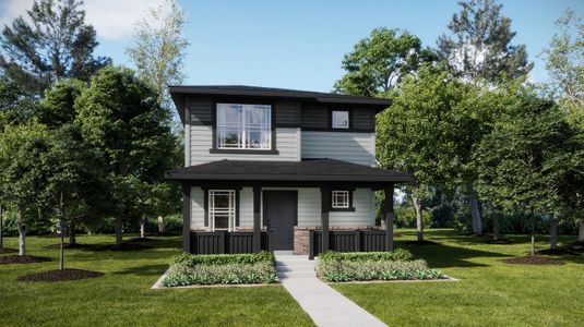 Percheron: The Explorer Collection 14