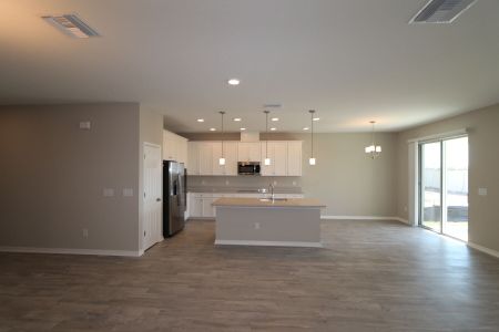 New construction Single-Family house 4774 Beachrose Way, Lakeland, FL 33811 Barcello Bonus- photo 89 89