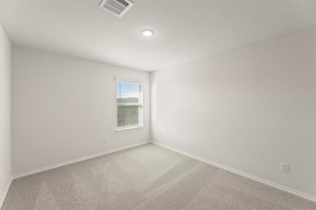 New construction Single-Family house 3312 Sedge Grass Dr, Melissa, TX 75454 plan Willow - image 14
