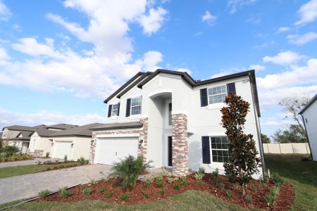 New construction Single-Family house 12176 Hilltop Farms Dr, Dade City, FL 33525 Malibu- photo 125 125