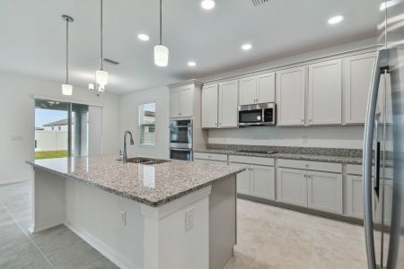 New construction Single-Family house 38433 Pindos Dr, Dade City, FL 33525 Mira Lago- photo 131 131