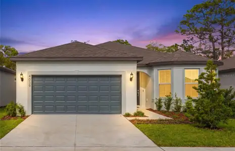 New construction Single-Family house 4039 Big Sky Dr, Spring Hill, FL 34604 plan Medina - image