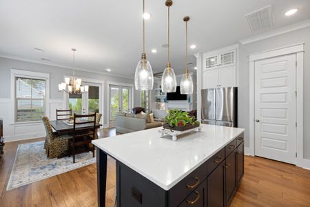 New construction Single-Family house 405 Blowing Fresh Dr, Charleston, SC 29492 - image 8
