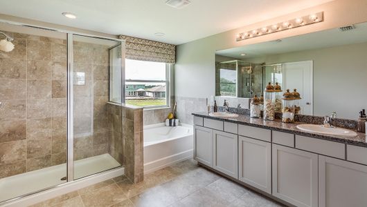 New construction Single-Family house 3831 Turning Tides Ter, Bradenton, FL 34208 null- photo 20 20