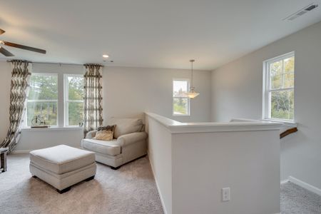 New construction Single-Family house 7514 Shoal Mill Pt, Unit 56, Fairview, TN 37062 plan Grant II - image 20