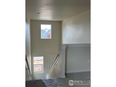 New construction Single-Family house 3172 Conquest St Ft, Fort Collins, CO 80524 - image 12