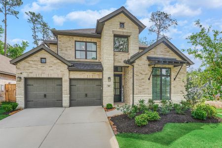 New construction Single-Family house 301 Water Tupelo Dr, Montgomery, TX 77316 - image