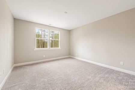 New construction Single-Family house 4024 Red Hill Way, Denver, NC 28037 null- photo 5 5