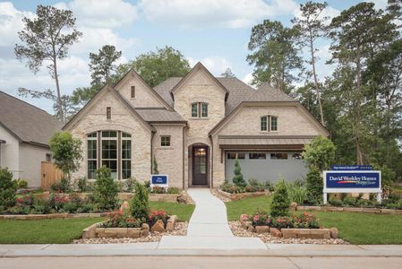 New construction Single-Family house 29634 Conifer Street, Tomball, TX 77375 - photo 0