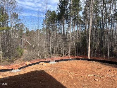 New construction Single-Family house 162 Gaines Trl, Pittsboro, NC 27312 null- photo 36 36