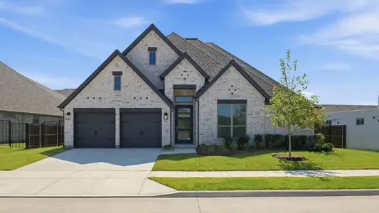 New construction Single-Family house 916 River Sky Rd, Lavon, TX 75166 plan 2916W - image
