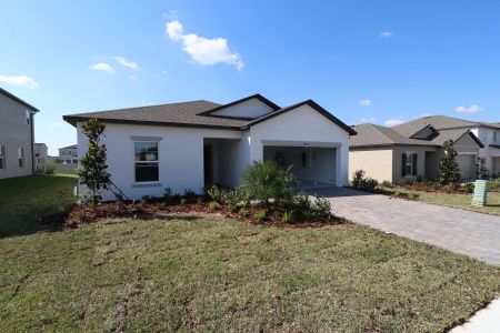 New construction Single-Family house 12193 Hilltop Farms Dr, Dade City, FL 33525 Sentinel- photo 49 49