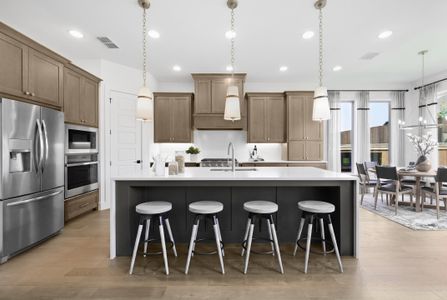 New construction Single-Family house 2908 Harkaway Ct, Celina, TX 75009 plan 525A - image 5