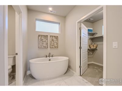 Silver Leaf by Boulder Creek Brands LLC in Denver - photo 34 34