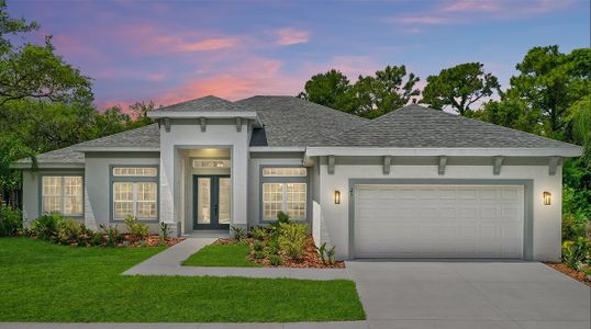 New construction Single-Family house 51 E Diamond Dr, Palm Coast, FL 32164 plan Bethpage - image
