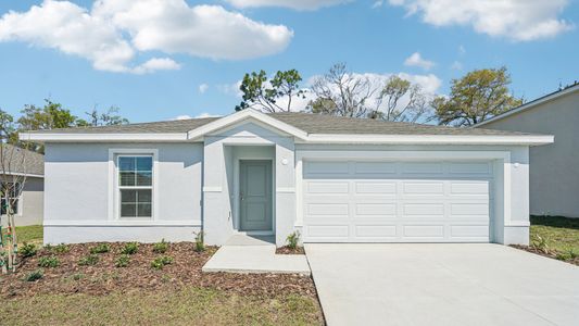 New construction Single-Family house 9841 Coconut Ct, Spring Hill, FL 34608 plan Dundee - image