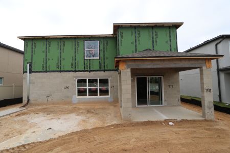 New construction Single-Family house 12252 Hilltop Farms Dr, Dade City, FL 33525 Cabo- photo 50 50