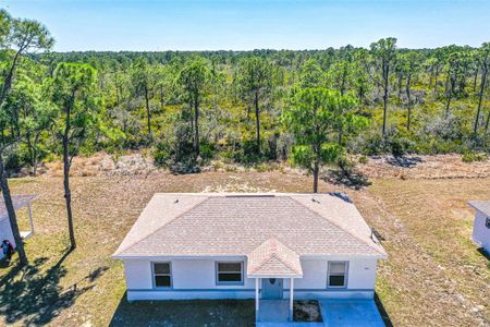 New construction Single-Family house 1413 Bittersweet St, Lake Placid, FL 33852 - image