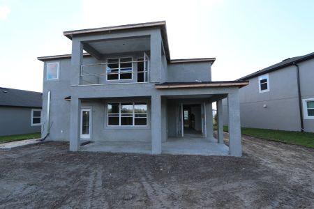 New construction Single-Family house 31223 Denham Ridge Ln, Wesley Chapel, FL 33545 Sonoma II- photo 50 50