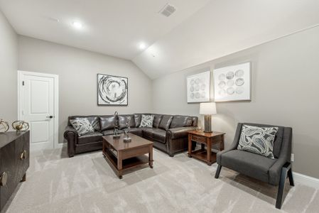 Villages of Walnut Grove by Bloomfield Homes in Midlothian - photo 20 20