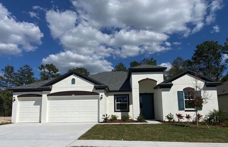 New construction Single-Family house 748 Tierra Dr, Spring Hill, FL 34609 null- photo 0