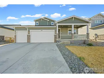 New construction Single-Family house 837 Hummocky Wy, Windsor, CO 80550 - image