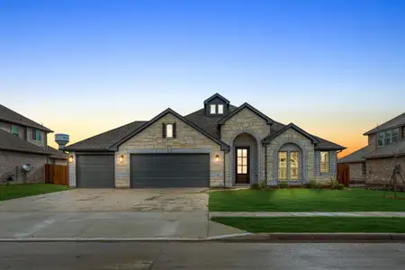 New construction Single-Family house 809 Willowbanks Dr, Nevada, TX 75173 plan Hawthorne II - image