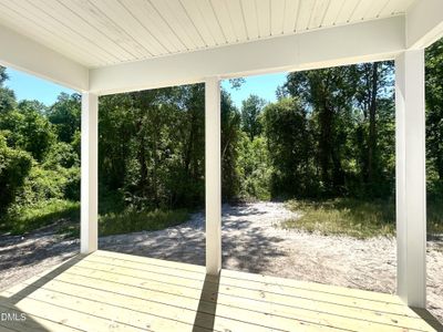 New construction Single-Family house 1721 Walnut Run Dr, Deep Run, NC 28525 - image