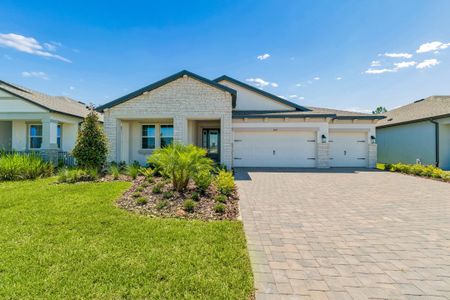 New construction Single-Family house 2091 Clary Sage Dr, Spring Hill, FL 34609 plan Corina III - image