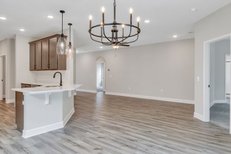 New construction Single-Family house Richmond Hill, GA 31324 plan Wassaw - image 8