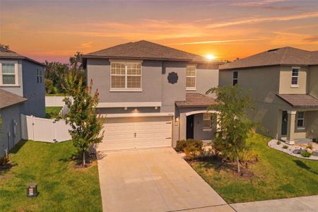 New construction Single-Family house 6453 Back Forty Lp, Zephyrhills, FL 33541 - image