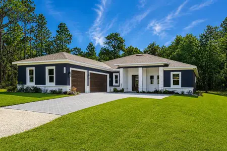 New construction Single-Family house 16098 Mellon Rd, Weeki Wachee, FL 34614 - image