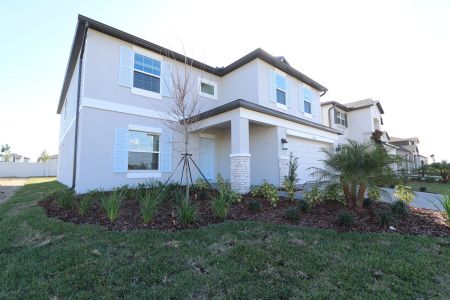 New construction Single-Family house 38350 Tobiano Loop, Dade City, FL 33525 Cabo- photo 151 151