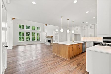 New construction Single-Family house 248 Reese Wy, Ball Ground, GA 30107 - image 6
