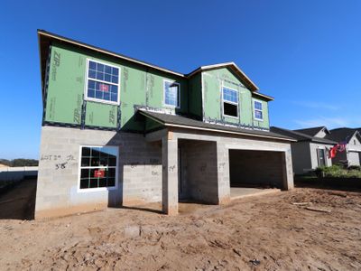 New construction Single-Family house 12294 Hilltop Farms Dr, Dade City, FL 33525 Malibu- photo 51 51