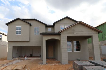 New construction Single-Family house 38326 Tobiano Loop, Dade City, FL 33525 Casanova- photo 82 82