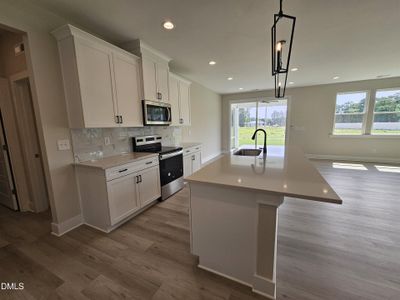 New construction Single-Family house 7322 Prato Ct, Wendell, NC 27591 - image