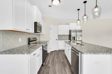 New construction Single-Family house Ludowici, GA 31316 plan The Jackson - image 8