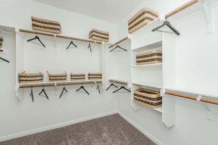 New construction Single-Family house 3700 Daisy Ln, Huntsville, TX 77340 plan The 2516 - image 14