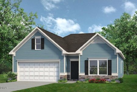 New construction Single-Family house 216 E American Marigold Dr, Benson, NC 27504 - image
